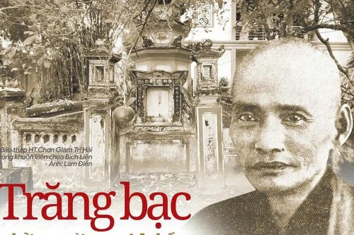 Trăng bạc giữa rừng thiền