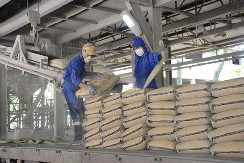 Đài Loan (Trung Quốc) áp thuế chống bán phá giá 23,2% với xi măng Việt Nam