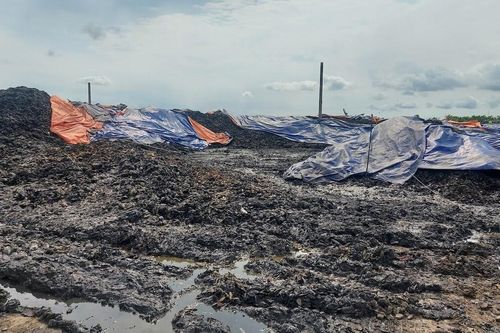 Công ty Nông nghiệp Địa Long gây ô nhiễm môi trường, giám đốc bị khởi tố