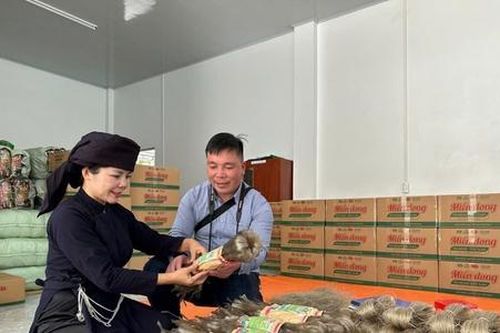HTX OCOP tìm 'chìa khóa' mở cửa thị trường quốc tế