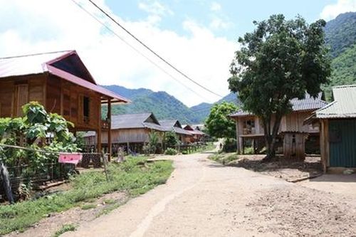 'Mầm xanh' HTX trong nông thôn mới ở Thanh Hóa
