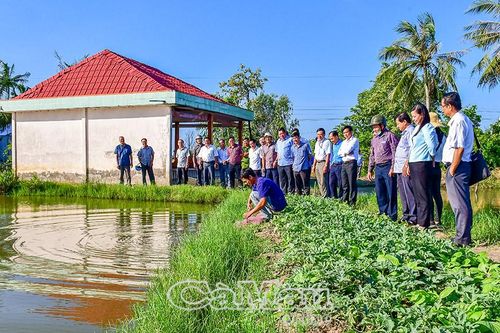 'Vị ngọt' từ sự đổi thay