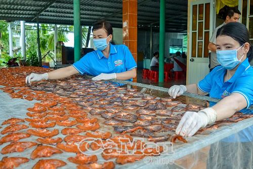 Quyết tâm hoàn thành tổng điều tra nông thôn, nông nghiệp trước hạn