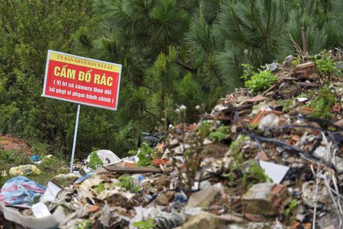 Rác thải 'tấn công' rừng thông Đà Lạt
