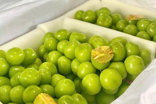 Nho sữa Trung Quốc bán khắp thị trường, giá rẻ như nho thường chỉ vài chục nghìn đồng/kg
