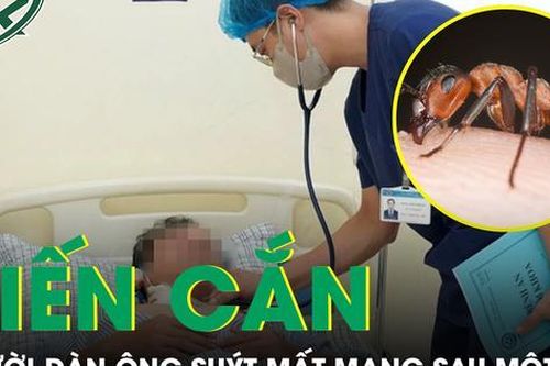 Một giờ sau khi bị kiến cắn, người đàn ông rơi vào nguy kịch, suýt mất mạng