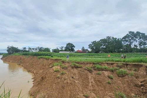 Thanh Hóa: Bờ sông Chu sạt lở, đe dọa khu dân cư