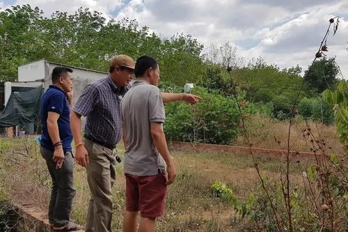 Lời giải xử lý tận gốc 'cò đất' lộng hành