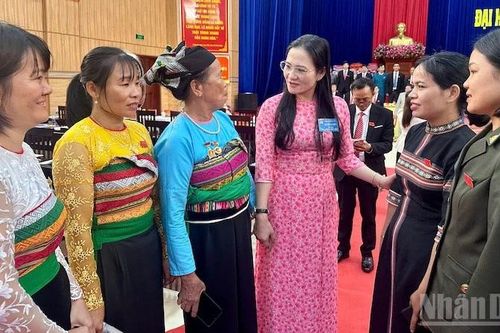 Quảng Ngãi: Xã Ia Tơi phát huy thế mạnh cây công nghiệp
