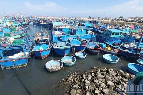 Sớm xử lý tình trạng cảng cá Mỹ Tân, Khánh Hòa bị bồi lấp