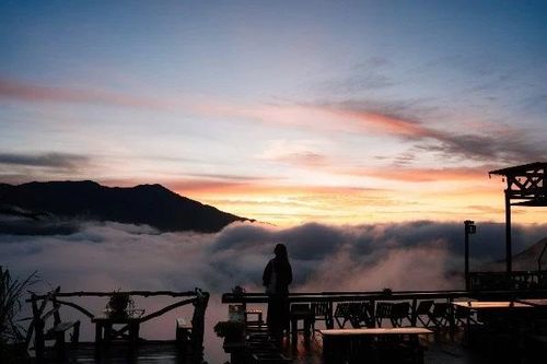 Tà Xùa mùa hè hút khách săn mây, tránh nóng giữa thiên nhiên đại ngàn