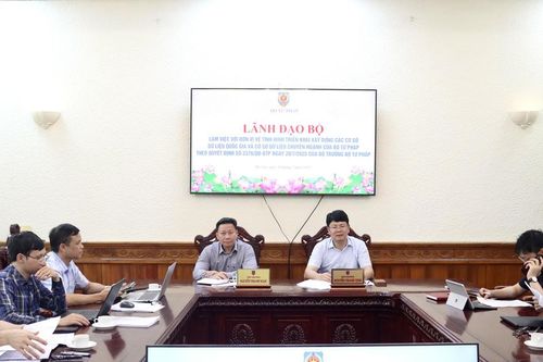 Hoàn thiện hệ thống cơ sở dữ liệu quốc gia và chuyên ngành theo đúng lộ trình chuyển đổi số