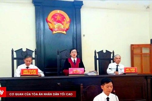 TAND Khu vực 5 – Hà Tĩnh xét xử 2 vụ án trực tuyến về ma túy