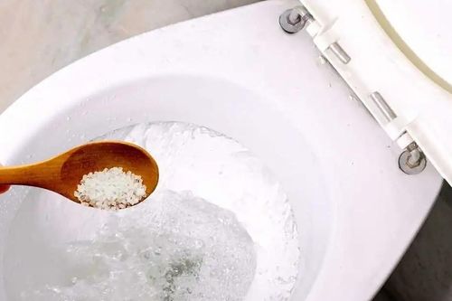 Lý do nhiều người đổ muối vào bồn cầu bị tắc nghẽn