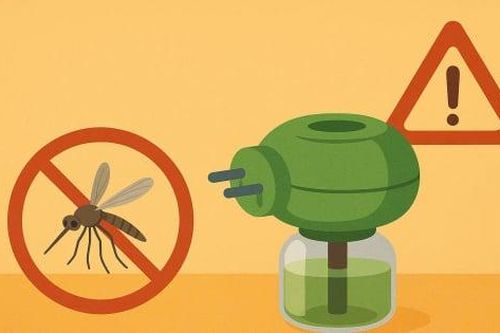 Tinh dầu đuổi muỗi dạng điện có thực sự an toàn?