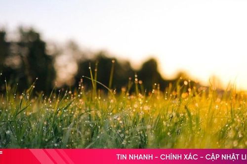 Podcast tản văn: Có những sớm mai