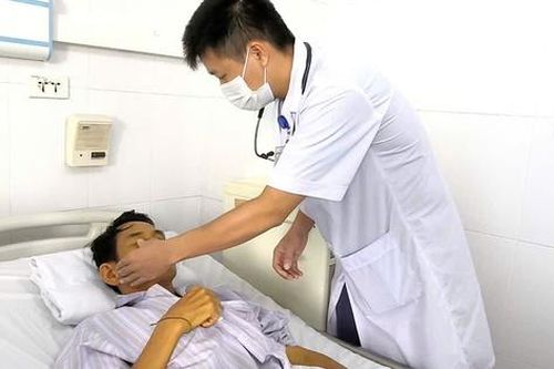 Suy gan, suy thận cấp do nhiễm xoắn khuẩn Leptospira