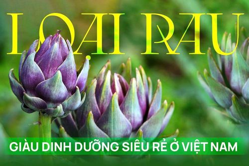 Loại rau dễ nhầm là hoa, bác sĩ Mỹ tấm tắc khen giàu dinh dưỡng hóa ra siêu rẻ ở Việt Nam