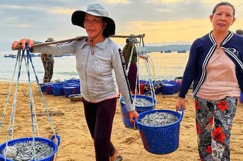 Nguồn vốn chính sách tiếp sức cho ngư dân