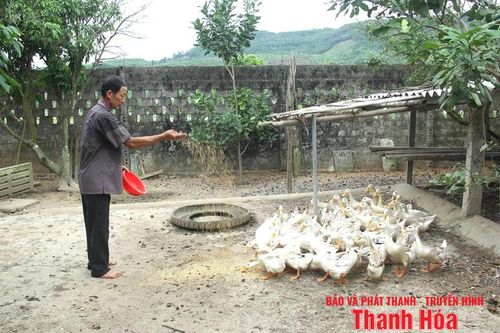 Tiên phong trên mặt trận mới