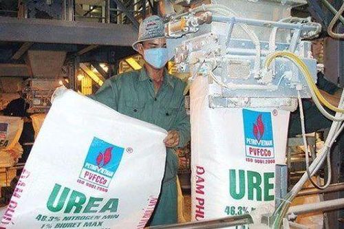 Đạm Phú Mỹ: Lợi nhuận sau thuế đạt 624 tỷ đồng, vượt xa kế hoạch cả năm