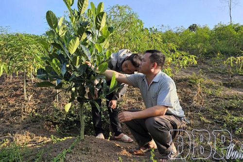 Khó giải ngân vốn sự nghiệp chương trình phát triển KT - XH dân tộc thiểu số và miền núi