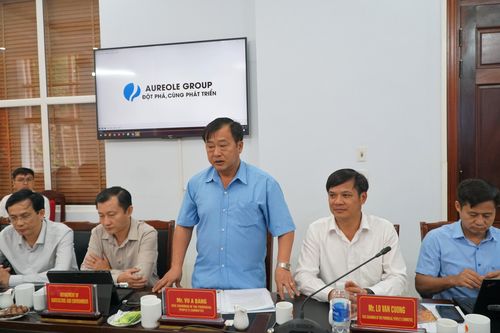 Lãnh đạo UBND tỉnh làm việc với Tập đoàn Mitani Sangyo