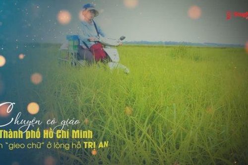 Chuyện cô giáo từ Thành phố Hồ Chí Minh đến 'gieo chữ' ở lòng hồ Trị An