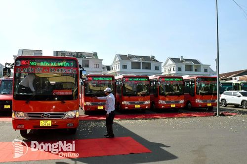 Điều chỉnh lộ trình tuyến xe buýt số 601, 603, 607 kết nối Bến xe ngã tư Vũng Tàu