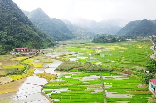 Vân Sơn vươn mình đổi mới