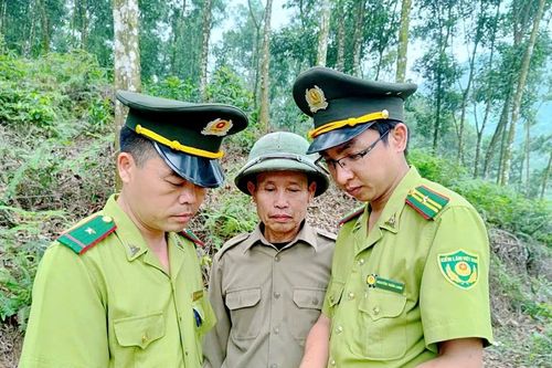 Tăng cường công tác quản lý bảo vệ rừng và phòng cháy chữa cháy rừng