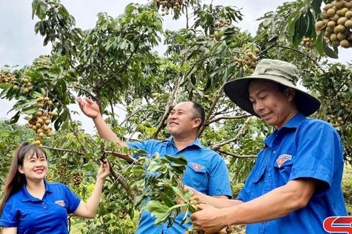 Thanh niên lập thân, lập nghiệp
