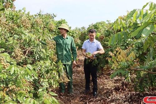 Cách làm sáng tạo trong học tập và làm theo Bác