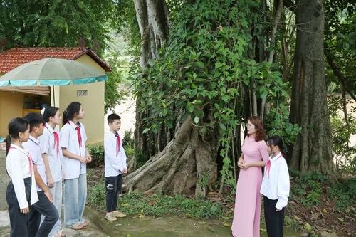 Bảo tồn và phát huy giá trị Di tích lịch sử Cây đa Mường Hung