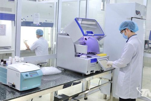 Thực hiện 237 vụ giám định pháp y