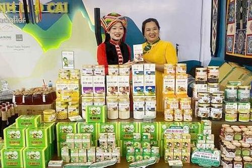 OCOP tạo động lực thúc đẩy phát triển kinh tế nông thôn tỉnh Lào Cai
