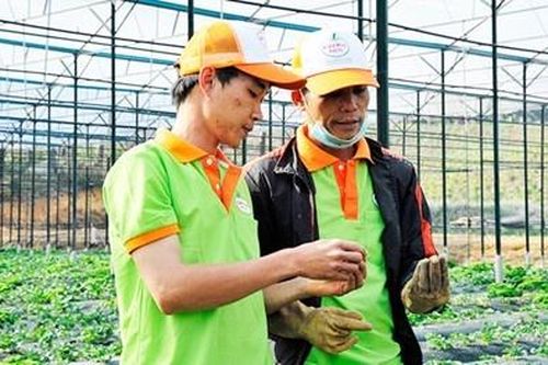 Tạo nhiều cơ hội cho startup xanh