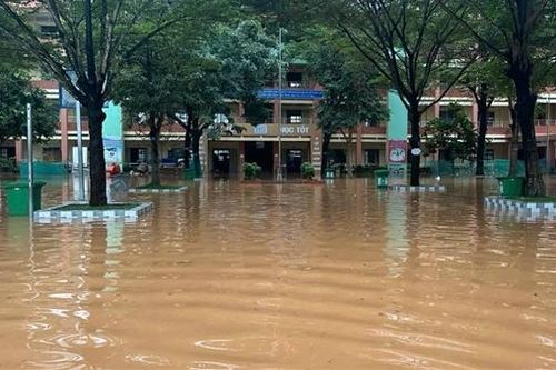 12 dự án trường học tại TP Hồ Chí Minh nằm trong diện thanh tra
