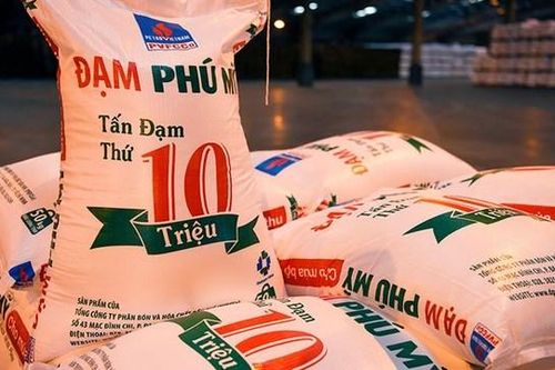 Phân bón và Hóa chất Dầu khí (DPM): Lãi ròng quý 2 tăng 75%, hoàn thành 95% kế hoạch lợi nhuận năm