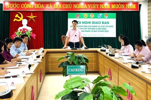 Giao ban công tác ủy thác với các tổ chức chính trị - xã hội cấp tỉnh quý II/2025