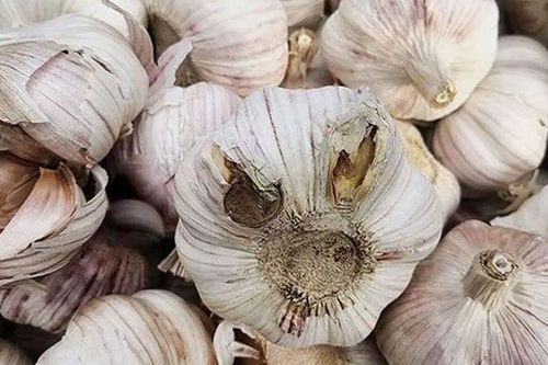 6 loại tỏi không nên mua: Chính người bán cũng không dám ăn, nhiều người chưa biết, hãy nhắc nhở cả nhà