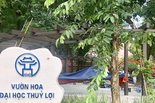 Loay hoay giữ gìn vẻ đẹp công viên, vườn hoa