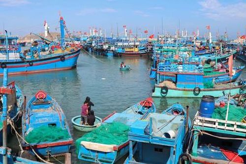 Mất tiền triệu mỗi lần cập cảng, ngư dân Khánh Hòa chờ được 'giải cứu'