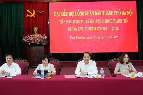 Cử tri 3 xã Đan Phượng, Ô Diên, Liên Minh kiến nghị nhiều vấn đề dân sinh