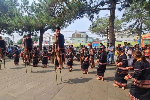 Gia Lai: Khát vọng Biển xanh – Đại ngàn tỏa sáng