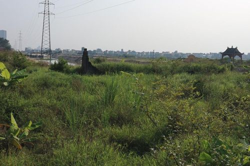 Góc nhìn 365: Khi Vườn Chuối được 'gọi tên'