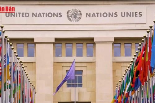 UNESCO đề nghị hỗ trợ bảo vệ di sản sau căng thẳng Campuchia - Thái Lan