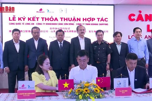 Cảng Quốc tế Long An hợp tác với cụm cảng và hãng tàu của Trung Quốc