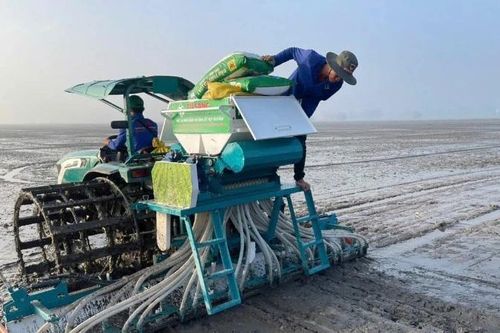 Lợi ích của phân bón cải tạo đất
