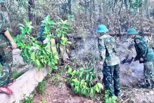 Thăm mộ thắp hương, đừng lỡ tay đốt cả cánh rừng